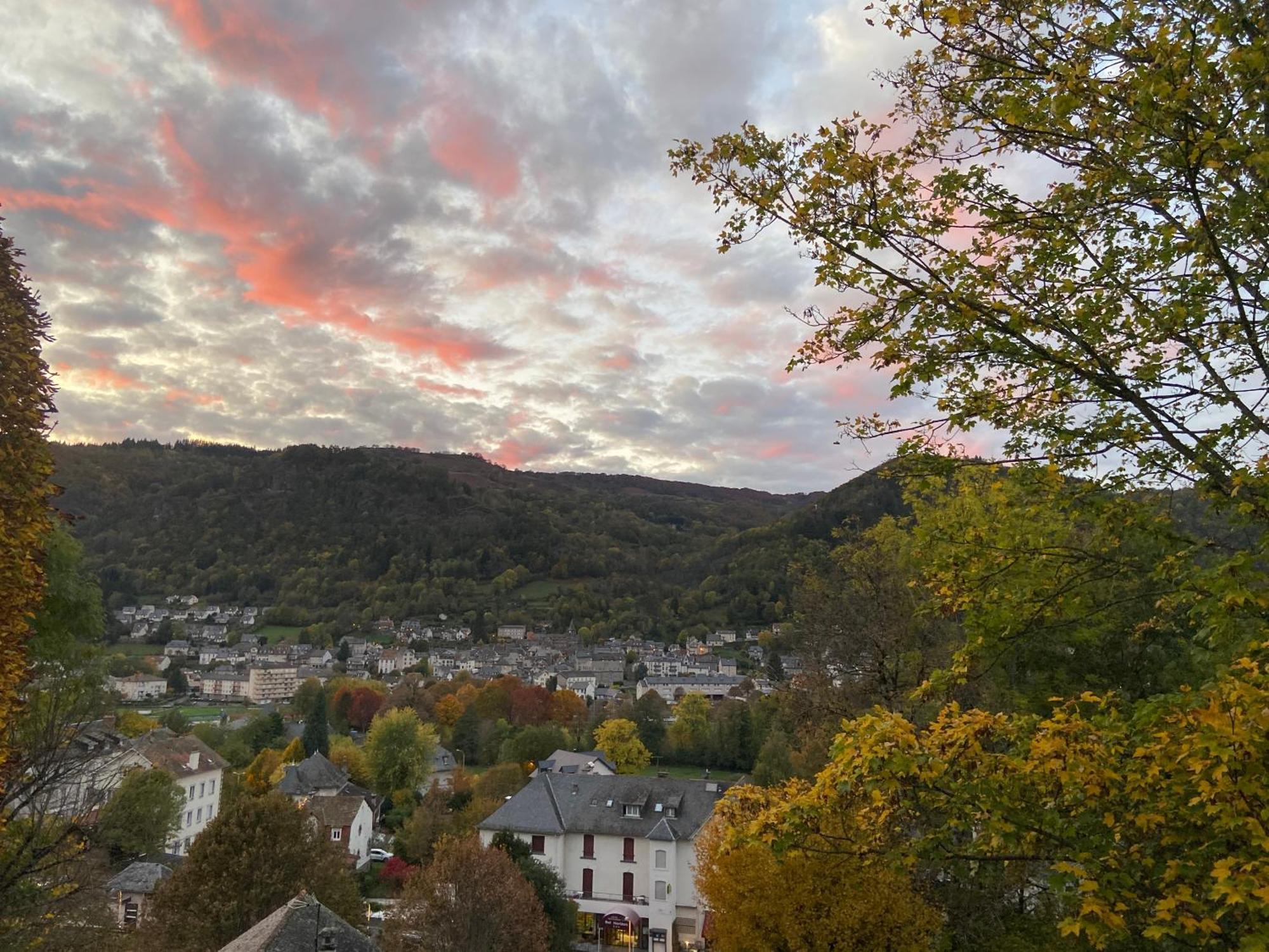 Logis Hotel Bel Horizon Vic-sur-Cère Eksteriør billede