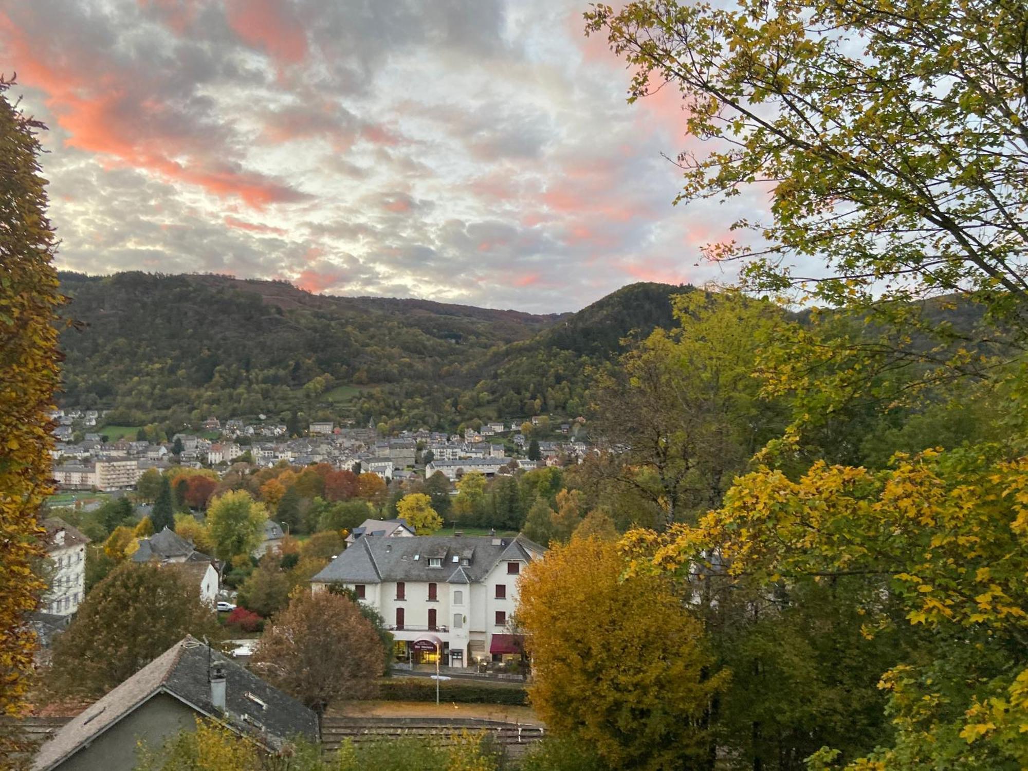 Logis Hotel Bel Horizon Vic-sur-Cère Eksteriør billede